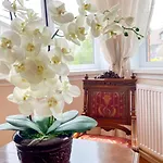 Vilara Apartment Heviz