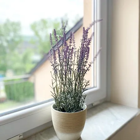 Vilara Appartement Hévíz