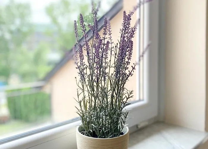 Vilara Apartamento Hévíz